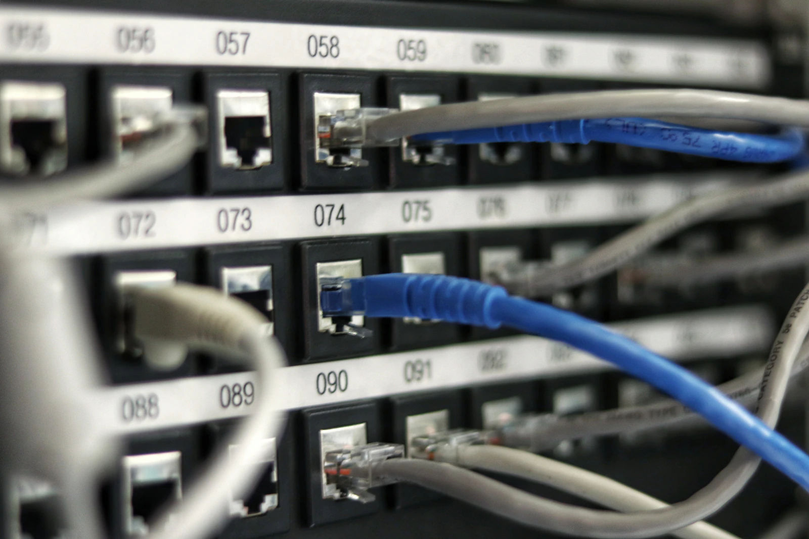 Detall fotogràfic de connexions RJ45 en un patch panel